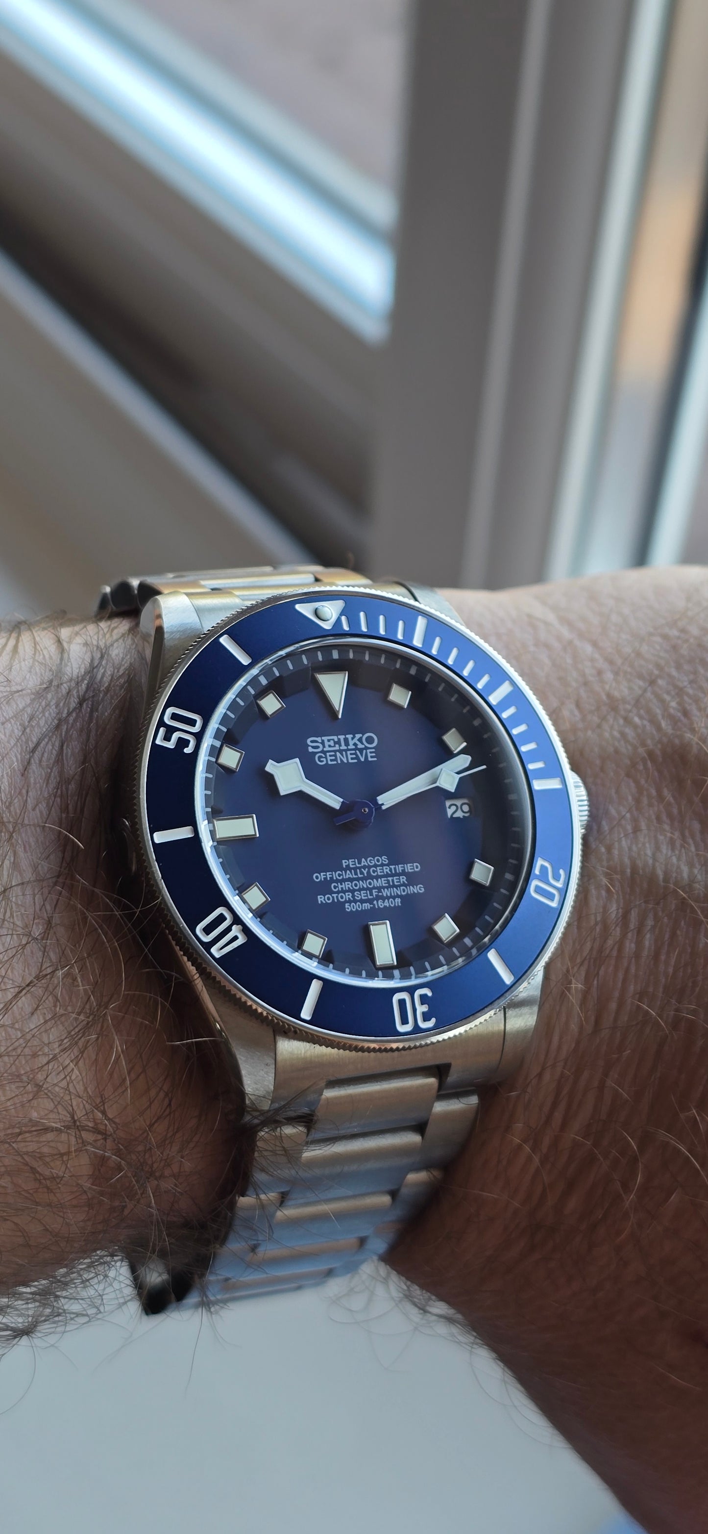 Seiko mod
