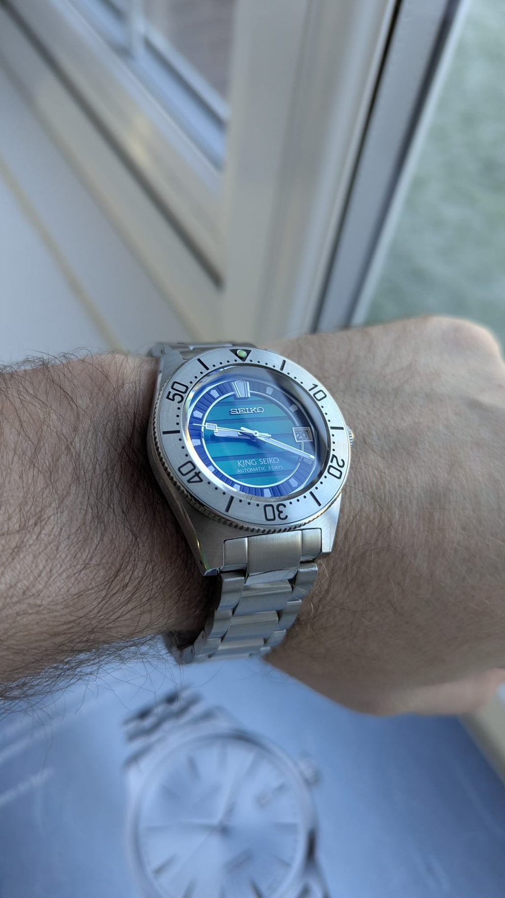 Seiko mod